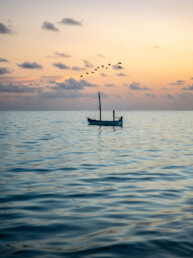 Boat in Indian Ocean with flying birds