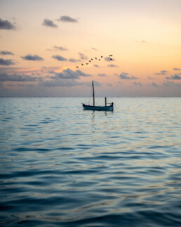Boat in Indian Ocean with flying birds